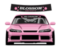 Blossom Society sunstrip design and pink car fitting preview